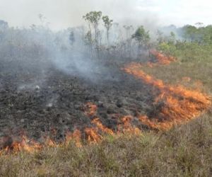 PrevFogo vai fortalecer combate a incêndios em áreas de proteção federal