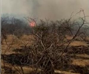 Incêndio dura 5 dias e ameaça três cidades no Norte do Piauí