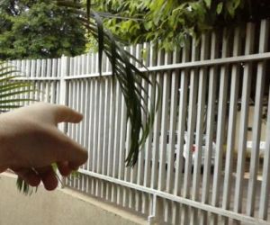Assaltantes invadem escola particular de Teresina e fazem arrastão
