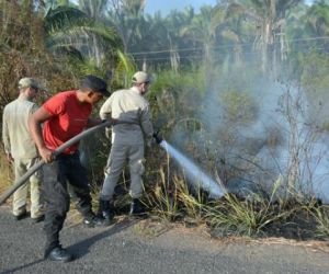 Bombeiros controlam focos de incêndio próximo a subestação da Chesf