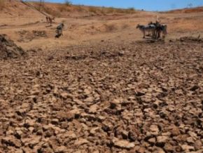 Piauí é o 2º em número de cidades em estado de emergência pela seca