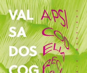 Livro "Valsa dos cogumelos" expõe toda as cores e nomes da cena psicodélica do Recife nos anos 1970