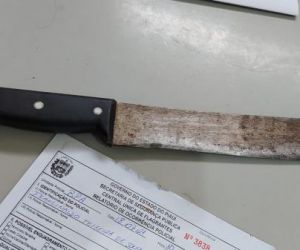 Polícia Civil investiga homem suspeito de matar gato com golpes de facão em Teresina