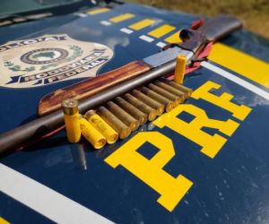 PRF prende homem com arma de fogo no município de Bertolinia/PI