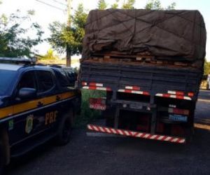 Carga ilegal de madeira é apreendida na BR-316