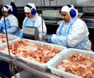 Frango da Perdigão será recolhido por risco de bactéria