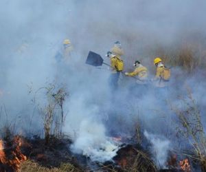 Piauí bate recorde em focos de calor com aumento de 45% em relação a 2017