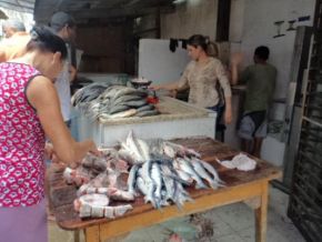 Quaresma promete aquecer as vendas no mercado de peixes em Floriano