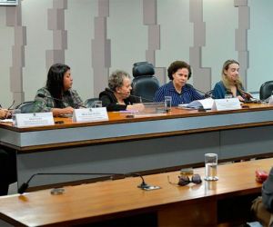 Ações pioneiras de combate ao feminicídio no Piauí são apresentadas no Senado