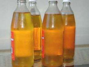 Agricultores de Floriano aprendem a produzir Cajuína