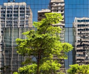 Reflexo