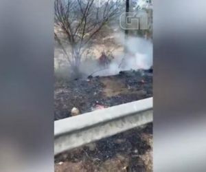 Homem é preso por atear fogo em vegetação às margens da BR-343, em Campo Maior
