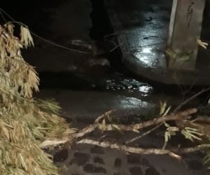 Ventania assusta moradores e causa estragos em Teresina