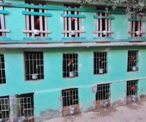 Polícia descobre rinha de galos e resgata mais de 80 animais na Zona Norte de Teresina