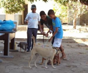 Floriano imuniza animais durante Campanha de Vacinação Antirrábica