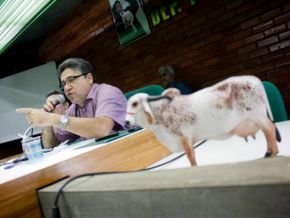 Deputado reúne agropecuaristas para debater linhas de crédito no BB