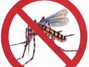 Floriano entre os municípios mais afetados pela dengue