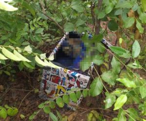 Corpo encontrado dentro de caixote na Zona Norte de Teresina é de uma mulher, afirma Polícia Civil