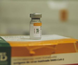 Mais de 15 mil doses Coronavac chegam ao Piauí para imunizar idosos de 80 a 84 anos