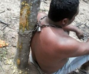 Familiares de vítima acorrentam em árvore suspeito de estupro