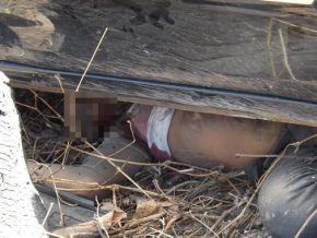 Vítima de assalto quer depor a favor de mulher que matou ladrão no Piauí