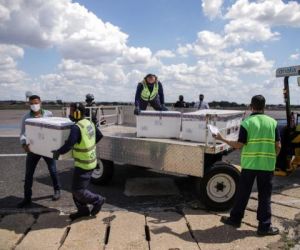 Piauí recebe 56.500 doses de vacinas da Astrazeneca contra a Covid-19