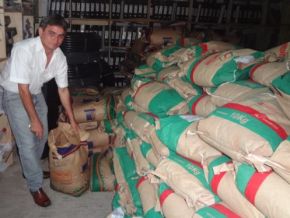 Agricultores familiares serão beneficiados com sementes de milho e feijão