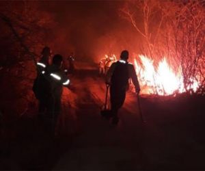 Quinto em focos de incêndio no país, governador faz apelo para o Piauí evitar queimadas