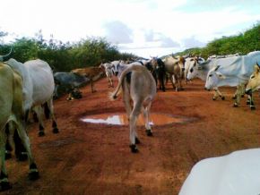 Internauta envia fotos para reclamar situação das estradas do Piauí