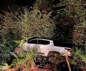 Motorista perde controle de carro e bate em carnaúba no interior do Piauí