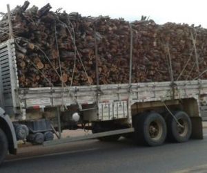 Madeira transportada ilegalmente é apreendida em Picos e em Teresina