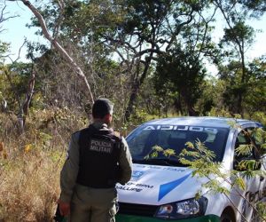 Agência dos Correios de Jerumenha é assaltada