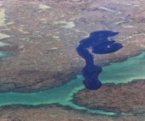 Óleo que atinge praias do NE é altamente cancerígeno