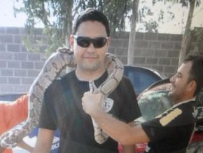 Cobra com mais de dois metros é capturada em via pública em Barão de Grajaú