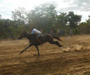 Realizada 2ª Corrida de Prado em Barão de Grajaú