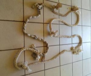 Sete presos de alta periculosidade fogem da Penitenciária de Esperantina