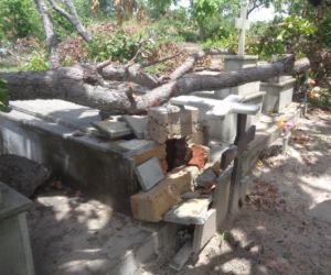 Árvore cai destruindo túmulos em cemitério da zona rural de Floriano