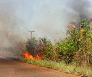 Família foge de casa para escapar de fogo na PI-113