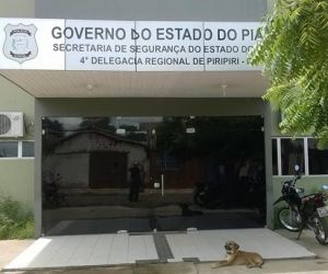 Cão morre após semanas diante de delegacia esperando dono preso