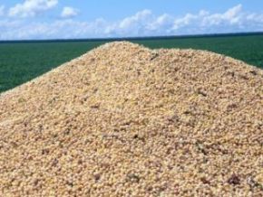 Produção de grãos no Piauí cresce 72% em 2011