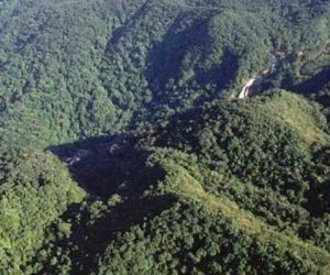 Piauí mantém índice inaceitável de desmatamento da Mata Atlântica