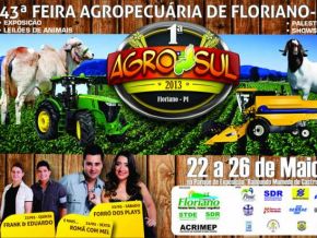Floriano sedia este mês a 43ª Feira Agropecuária