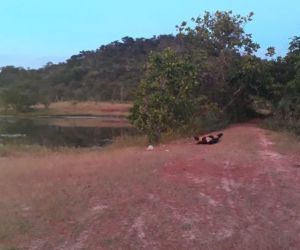 Polícia investiga morte de jovem no interior do Piauí