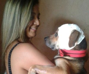 Polícia encaminha à Justiça caso de maus-tratos a cão no Piauí