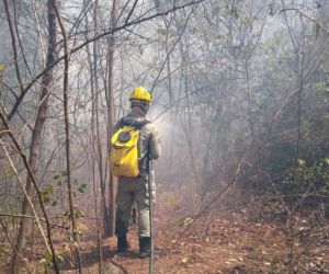 Bombeiros tentam controlar incêndio no centro de Brasileira