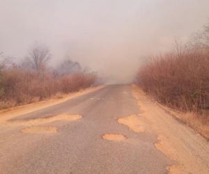 Brigadistas combatem incêndio na zona rural de Curimatá, no Sul do Piauí