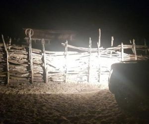 Polícia investiga cativeiros ilegais de jumentos em Luís Correia para abate e comercialização