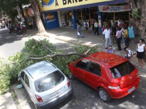 Galho de árvore cai em dois carros próximo à Prefeitura de Teresina