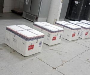 Vacina contra Covid: Piauí recebe 11 mil doses da Coronavac para primeira e segunda doses
