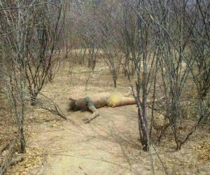 Mulher é encontrada morta com indícios de estupro